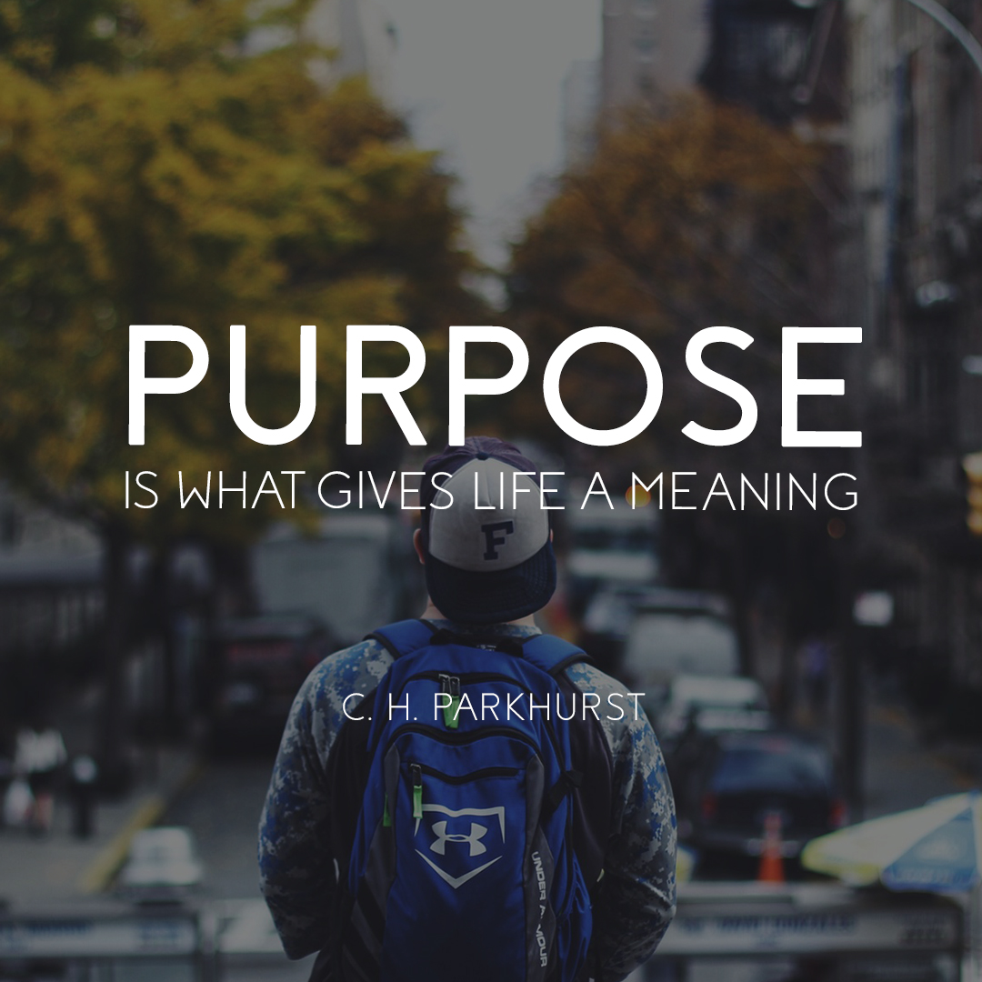 steps to goal setting - purpose is what life gives a meaning - C.H. Parkhurst