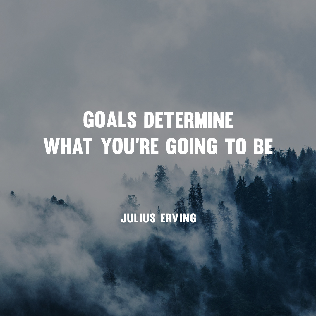 personal goal setting - goals determine what you are going to be - Julius Erving